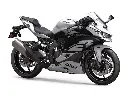 Kawasaki ZX-4RR.webp